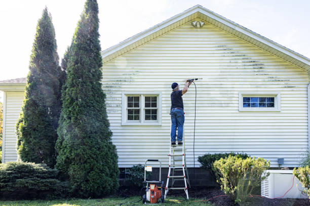 Professional Pressure Washing Services in Waterloo, NE